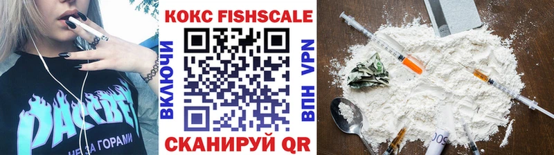 Купить  Калачинск  Кокаин Fish Scale 