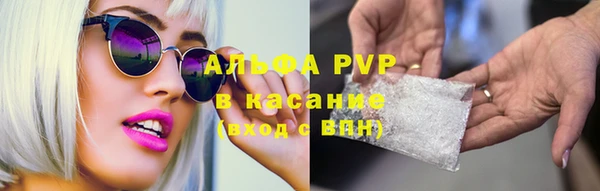 стаф Кукмор