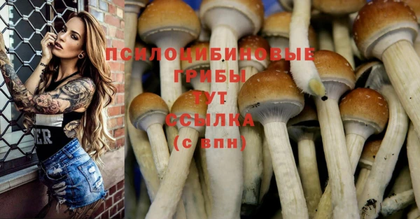 стаф Кукмор
