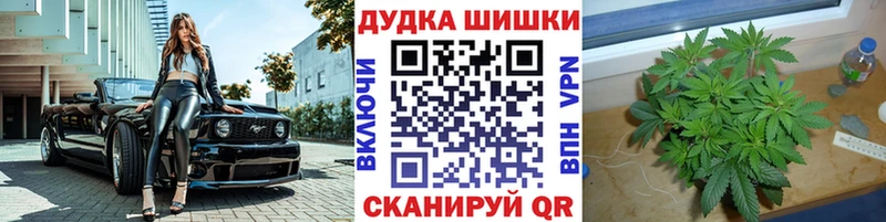 Купить где Калачинск Канабис семена